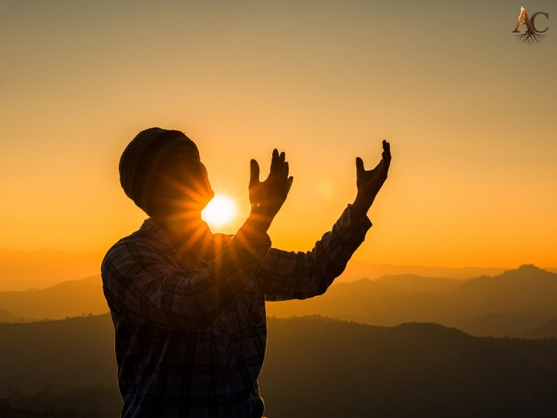 Seeking Ancestral wisdom